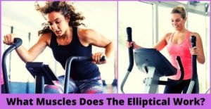 what muscles does the elliptical work