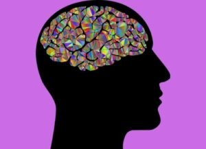 best supplements for your brain