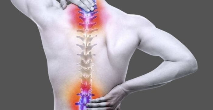 the top chiropractic services