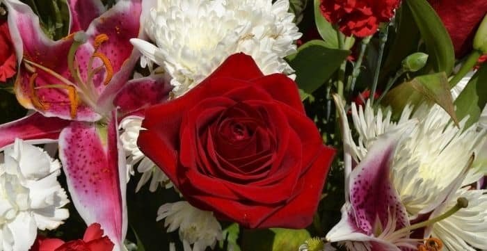 what makes the best get well flowers