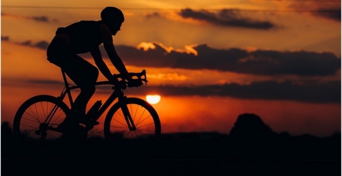 should you work out in the morning or night