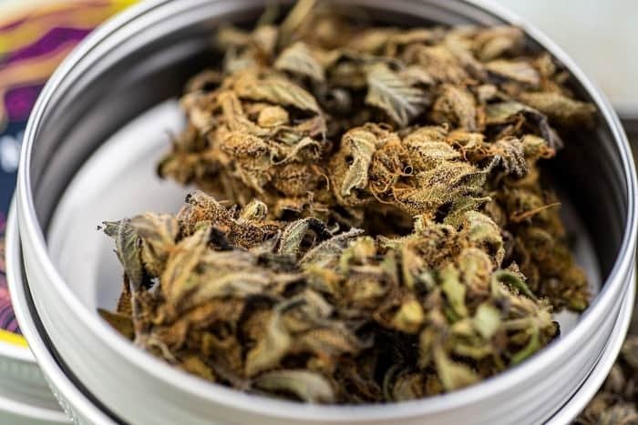 why is CBD gummies a good nutritious 