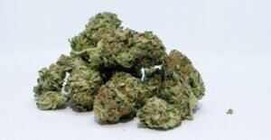 kush mints weed strain
