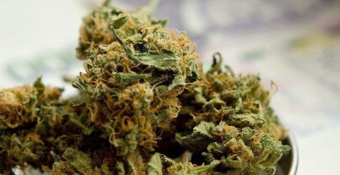 Buy obama runtz strain