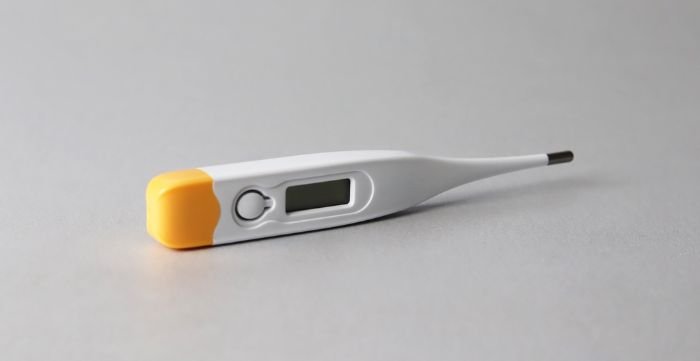 high or persistent fever