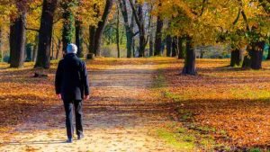 how fall nature walks can help with anxiety
