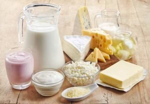 camel dairy products