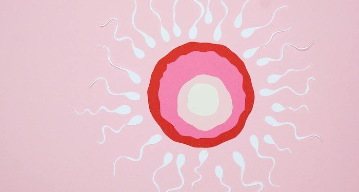 nutritional tips for men when TTC