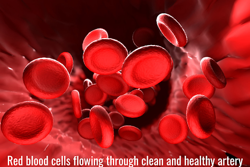 How fiber counteracts junk foods' saturated fat and calories how fiber counteracts junk foods' saturated fat and calories