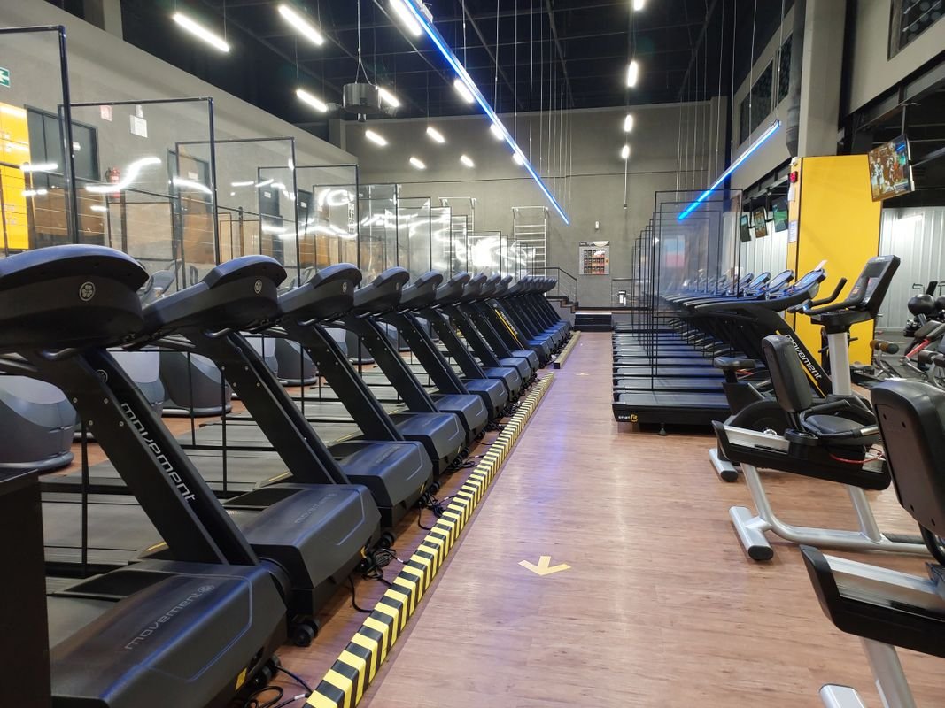 Row of treadmills in a gym