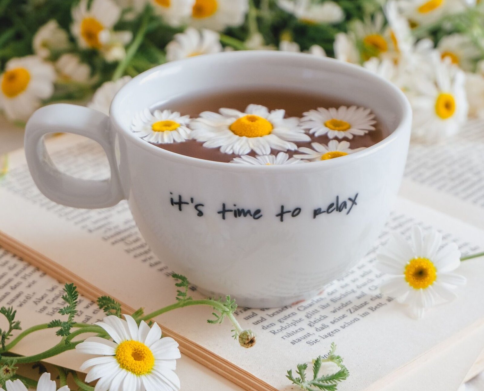 Cup of chamomile tea, a traditional herbal remedy used in naturopathy for sleep disorders